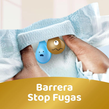 Dodot Pañales Bebé Sensitive, Talla 5 (11-16 kg), 168 Pañales + 4 Pants de Regalo, Hasta 12 h De Protección Antifugas y Cuidado de la Piel, Pack Mensual